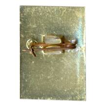 Значок Теберда (вид 2)