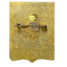 Значок Джанкой (вид 2)