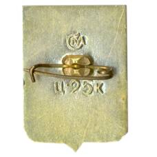 Значок Севастополь (вид 2)