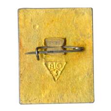 Значок Владимир (вид 2)