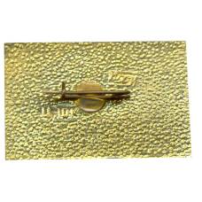 Значок Домик Каширина (вид 2)