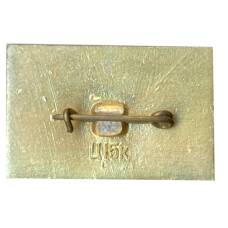 Значок Белорусская ССР (вид 2)