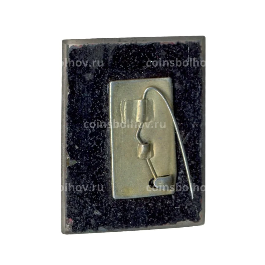 Значок Международная федерация баскетбола (FIBA) (вид 2)