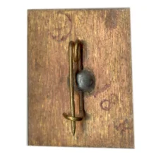 Значок И.Туркенич (вид 2)