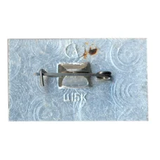 Значок Музей-Усадьба В.Д.Поленова (вид 2)