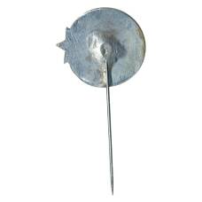 Значок ССЗ (вид 2)