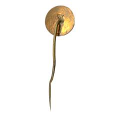 Значок Колин — завод TESLA (вид 2)