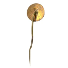 Значок Колин — завод TESLA (вид 2)