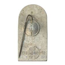 Значок 250 лет Грузия (вид 2)