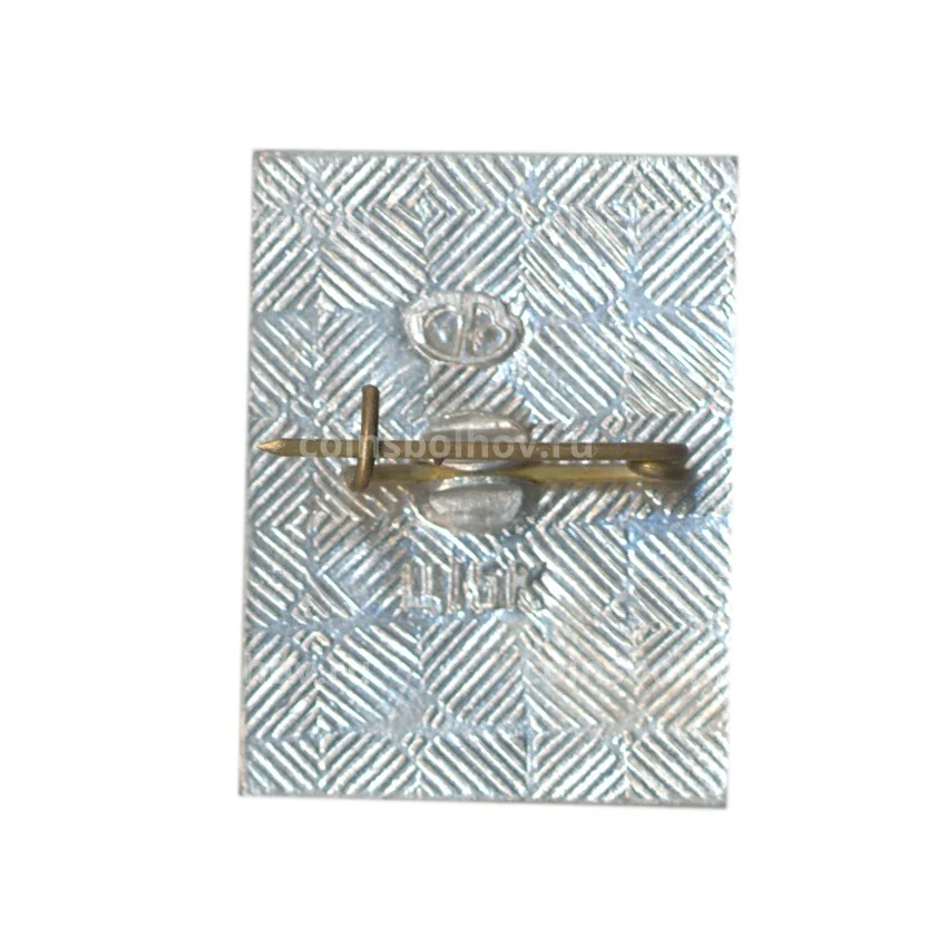 Значок Волгоград (вид 2)