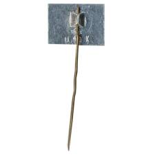 Значок Рига (вид 2)