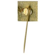 Значок Вильнюс (вид 2)