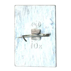 Значок Дубна (вид 2)