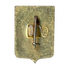 Значок Владимир (вид 2)