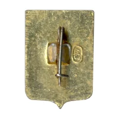 Значок Владимир (вид 2)