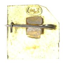 Значок Разлив (вид 2)