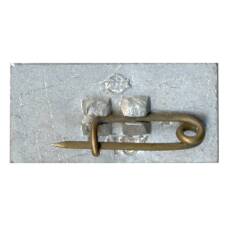 Значок Саласпилс (вид 2)