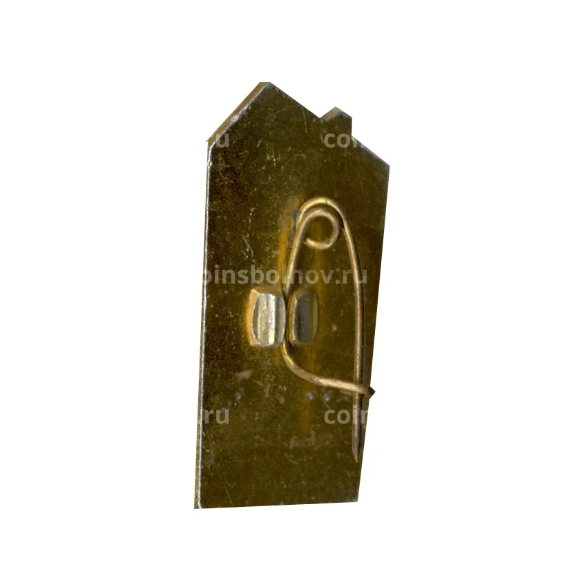 Значок Сочи (вид 2)