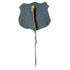 Значок замок Яунпилс (вид 2)