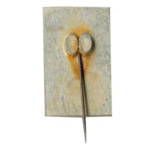 Значок Хазар (вид 2)