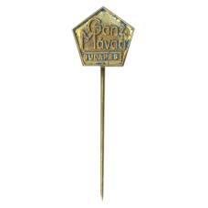 Значок  рекламный Ganz Mavaq