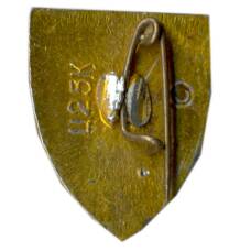 Значок Симферополь (вид 2)