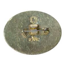 Значок Кижи — дом Ошевнева (вид 2)