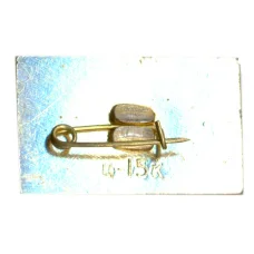 Значок Геленджик (вид 2)