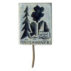 Значок Друскининкай