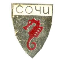 Значок Сочи