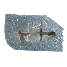 Значок Шушенское (вид 2)