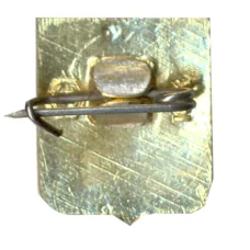 Значок Лужники (вид 2)