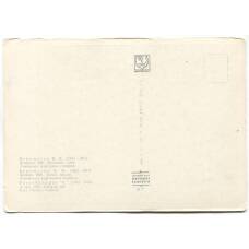 Открытка живопись В.В. Верещагин «Шпигун» (вид 2)