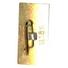 Значок Минск 1941-1945 (вид 2)