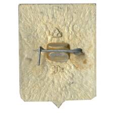 Значок Суздаль (вид 2)