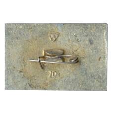 Значок Владимир (вид 2)