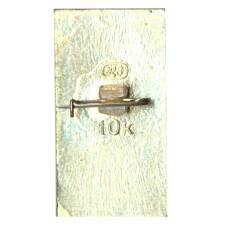 Значок Звенигород (вид 2)