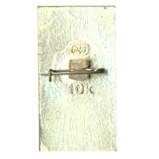 Значок Звенигород (вид 2)