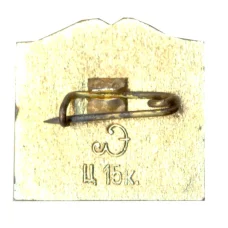 Значок Петродворец (вид 2)