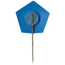 Значок ЭНИМС (вид 2)