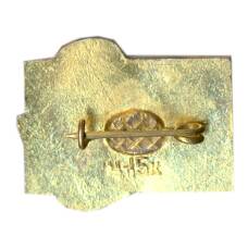 Значок Леся Украинка — 100 лет со дня рождения (вид 2)