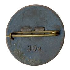 Значок рекламный DZINTARI (вид 2)