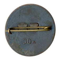 Значок рекламный DZINTARI (вид 2)