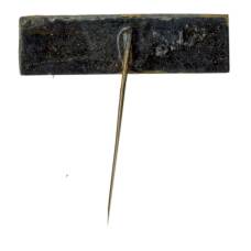 Значок Калуга (вид 2)