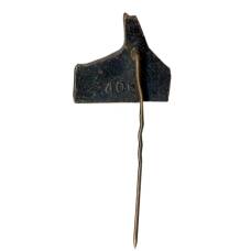 Значок Райнис (вид 2)