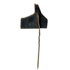 Значок Райнис (вид 2)