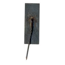 Значок Парчипиус (вид 2)