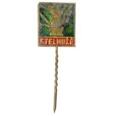 Значок Стелмужский дуб