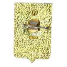 Значок Ростов — на -Дону (вид 2)