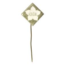 Значок Сочи